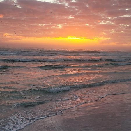 Siesta Key Condo - On The Water ! Extérieur photo