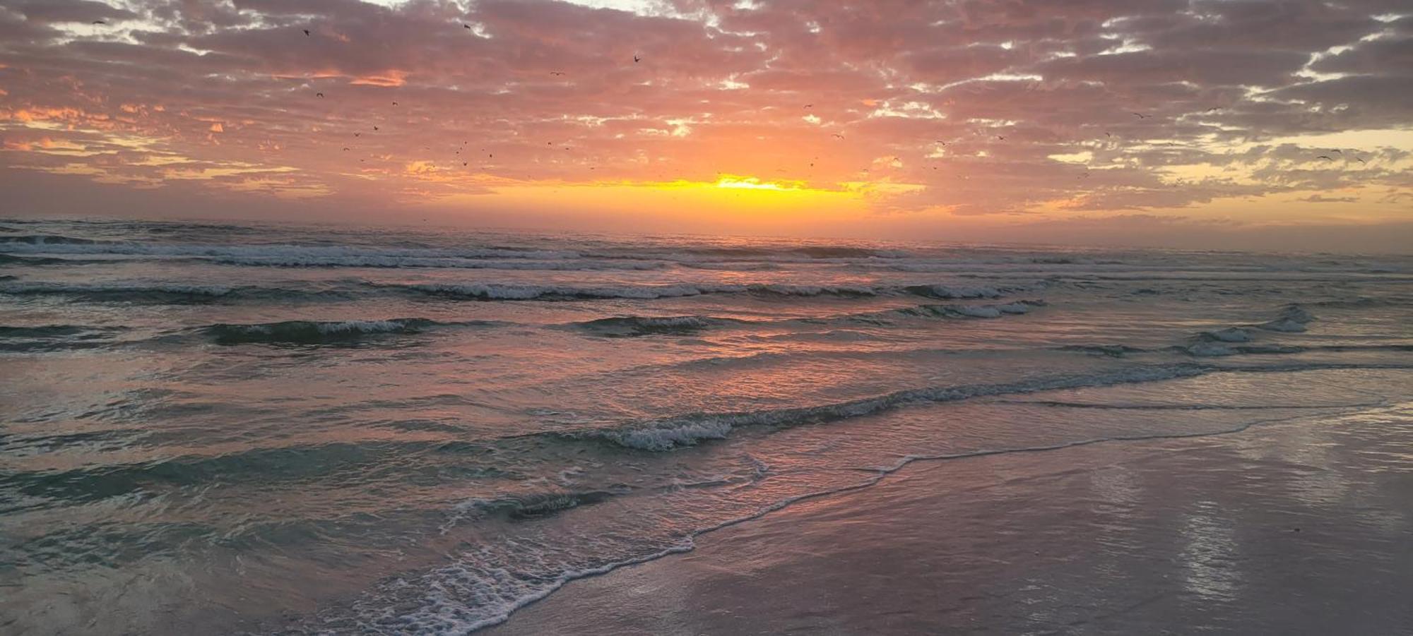 Siesta Key Condo - On The Water ! Extérieur photo